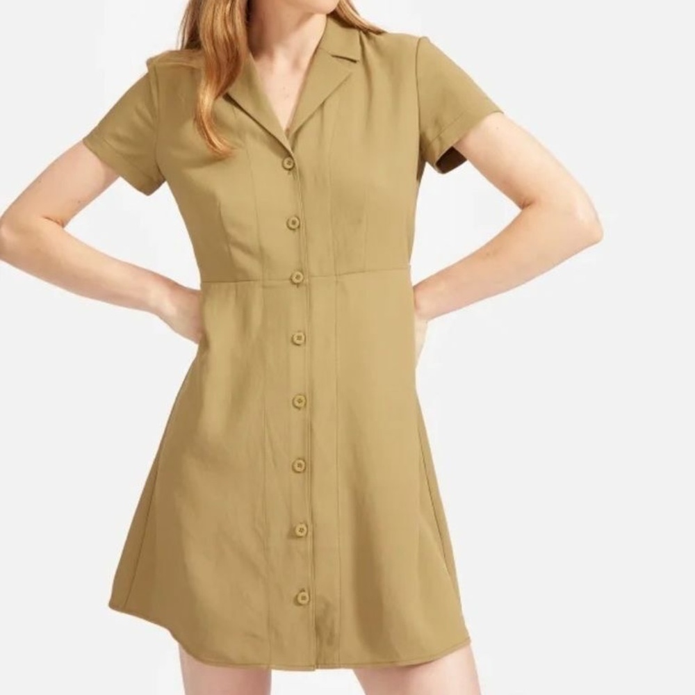 Everlane Dress